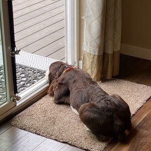 Meet your Posher, Jodi